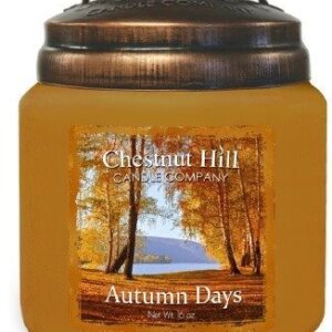 CHESTNUT HILL 450g 2 stoppini cera di soia - AUTUMN DAYS