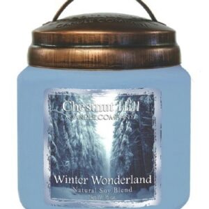 WINTER WONDERLAND Candela profumata CHESTNUT HILL 450gr