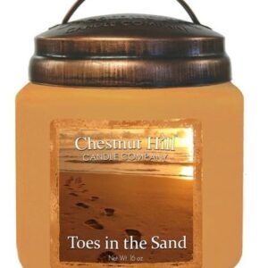 TOES IN THE SAND Candela profumata CHESTNUT HILL 450gr