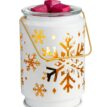 EBSFK-Snowflake-correct-size (1)