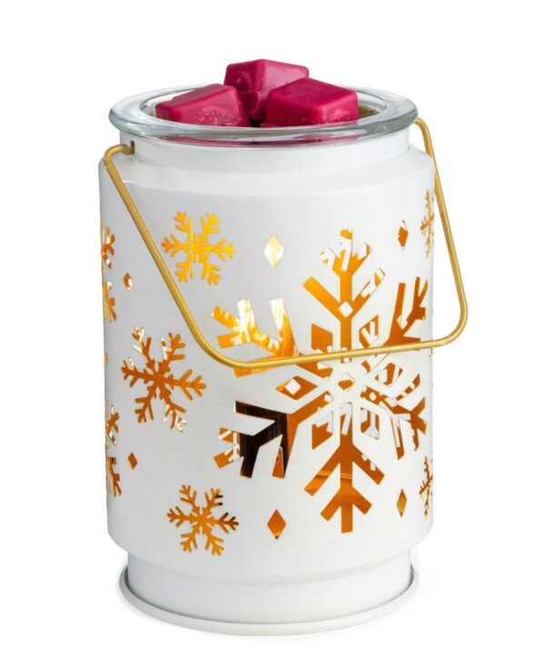 EBSFK-Snowflake-correct-size (1) EBSFK-Snowflake-correct-size (1)