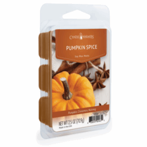 PUMPKIN SPICE - Melt Candle Warmers