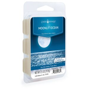 MOONLIT OCEAN  - Melt Candle Warmers
