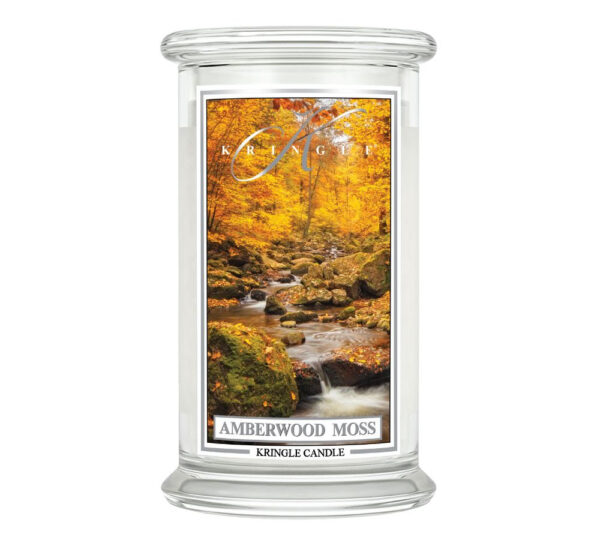 amber moos