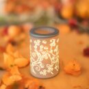 5303145-47e916b8182a6a