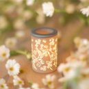 5303145-47e916b8184575