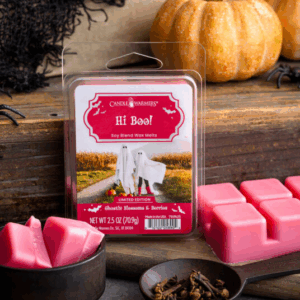 HI BOO! - Melt Candle Warmers Halloween Limited Edition