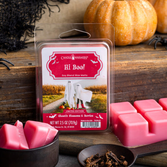 Screenshot_2025-07-12_at_16-30-18_Hi_Boo_Limited_Edition_2.5oz_Halloween_Wax_Melt_Candle_Warmers Screenshot_2025-07-12_at_16-30-18_Hi_Boo_Limited_Edition_2.5oz_Halloween_Wax_Melt_Candle_Warmers