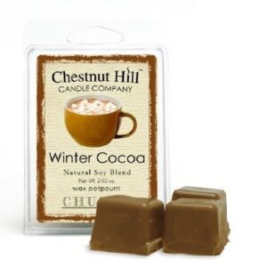 WINTER COCOA - Cera Profumata 85gr - Chestnut Hill MELT