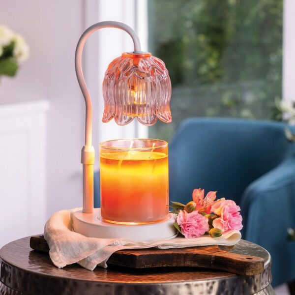 2026Spring-AJTLP-Lifestyle01-2200×2200-web-f 2026Spring-AJTLP-Lifestyle01-2200×2200-web-f