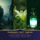 duftkerze-harry-potter-slytherin-135g~3