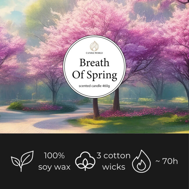 ita_pl_Candle-World-candela-profumata-di-soia-3-stoppini-Breath-of-Spring-460-g-Geranio-rosa-13112_1