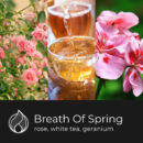 ita_pl_Candle-World-candela-profumata-di-soia-3-stoppini-Breath-of-Spring-460-g-Geranio-rosa-13112_2