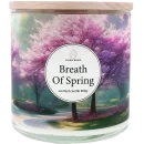 ita_pl_Candle-World-candela-profumata-di-soia-3-stoppini-Breath-of-Spring-460-g-Geranio-rosa-13112_3