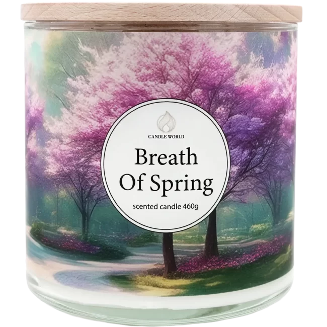ita_pl_Candle-World-candela-profumata-di-soia-3-stoppini-Breath-of-Spring-460-g-Geranio-rosa-13112_3