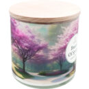 ita_pl_Candle-World-candela-profumata-di-soia-3-stoppini-Breath-of-Spring-460-g-Geranio-rosa-13112_5