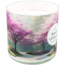 ita_pl_Candle-World-candela-profumata-di-soia-3-stoppini-Breath-of-Spring-460-g-Geranio-rosa-13112_7