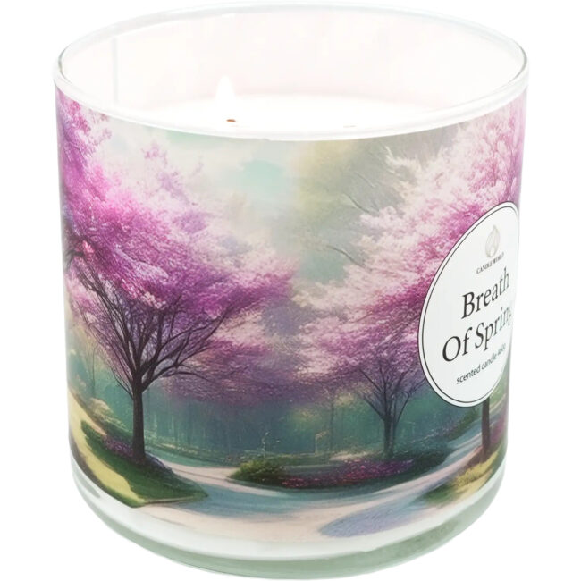 ita_pl_Candle-World-candela-profumata-di-soia-3-stoppini-Breath-of-Spring-460-g-Geranio-rosa-13112_7