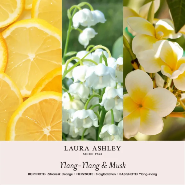 raumspray-laura-ashley-ylang-ylang-musk-100ml~4 raumspray-laura-ashley-ylang-ylang-musk-100ml~4