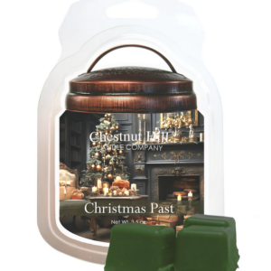 CHRISTMAS PAST Cera profumata CHESTNUT HILL 99gr