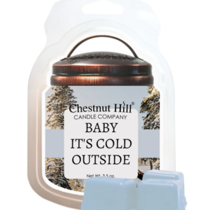BABY IT`S COLD OUTSIDE Cera profumata CHESTNUT HILL 99gr