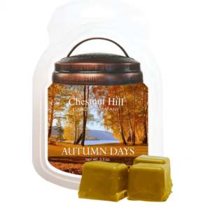 AUTUMN DAYS Cera profumata CHESTNUT HILL 99gr
