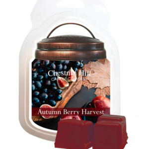 AUTUMN BERRY HARVEST Cera profumata CHESTNUT HILL 99gr