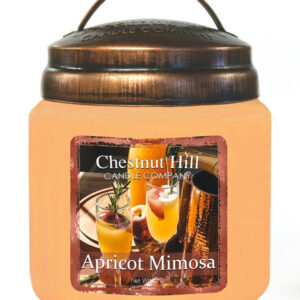 APRICOT MIMOSA Candela profumata CHESTNUT HILL 450gr