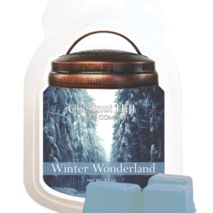 WINTER WONDERLAND Cera profumata CHESTNUT HILL 99gr