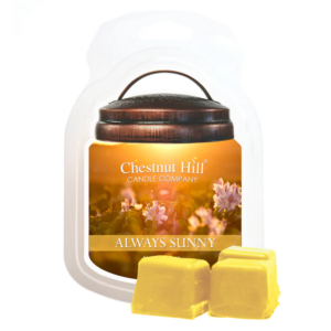 ALWAYS SUNNY Cera profumata CHESTNUT HILL 99gr