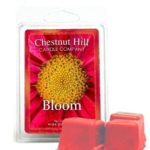 BLOOM Cera profumata CHESTNUT HILL 85gr