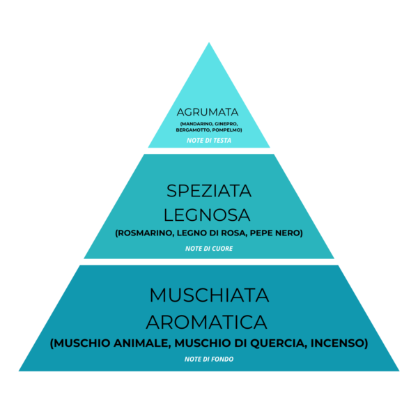 LIGHTBLUE07.png LIGHTBLUE07.png