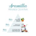 Aramilla_Piramide-olfattiva-scaled-1.jpg
