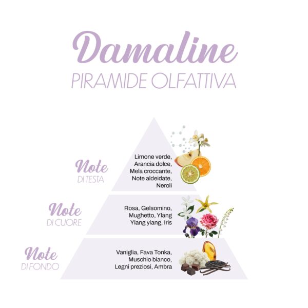 Damaline_Piramide-olfattiva-scaled-1.jpg Damaline_Piramide-olfattiva-scaled-1.jpg