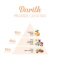 Darith_Piramide-olfattiva-scaled-1.jpg