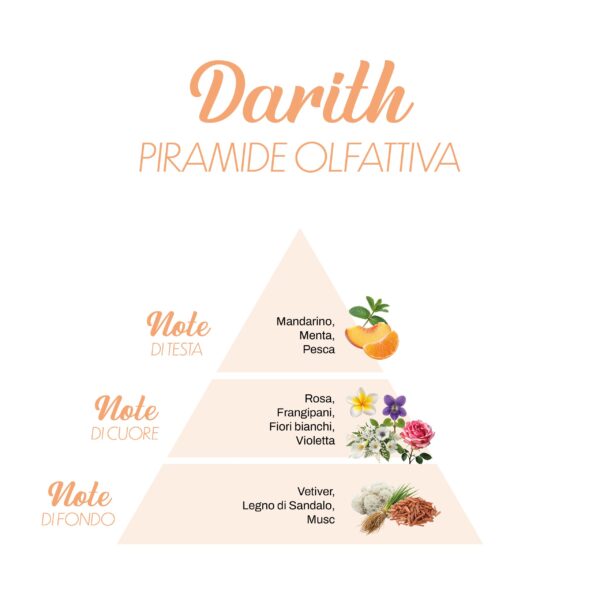 Darith_Piramide-olfattiva-scaled-1.jpg Darith_Piramide-olfattiva-scaled-1.jpg