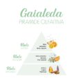 Gaialeda_Piramide-olfattiva-scaled-1.jpg