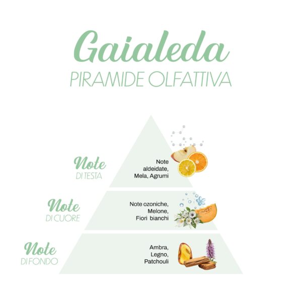 Gaialeda_Piramide-olfattiva-scaled-1.jpg Gaialeda_Piramide-olfattiva-scaled-1.jpg