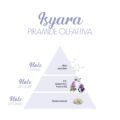 Isyara_Piramide-olfattiva-scaled-1.jpg