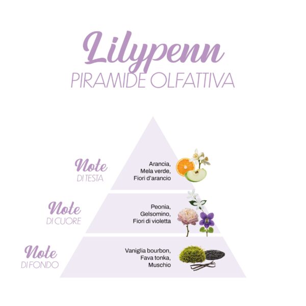 Lilypenn_Piramide-olfattiva-scaled-1.jpg Lilypenn_Piramide-olfattiva-scaled-1.jpg