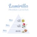 Lumirilla_Piramide-olfattiva-scaled-1.jpg