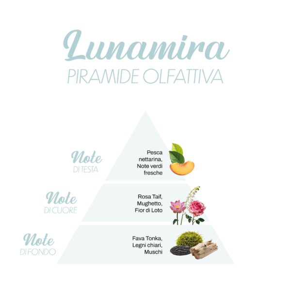 Lunamira_Piramide-olfattiva-scaled-1.jpg Lunamira_Piramide-olfattiva-scaled-1.jpg