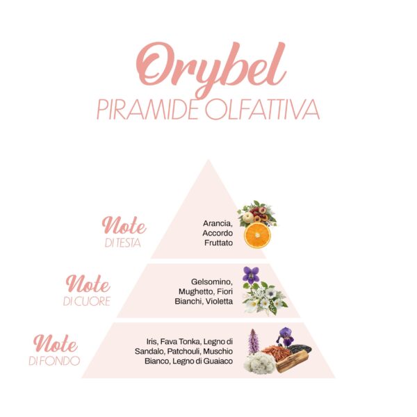 Orybel_Piramide-olfattiva-scaled-1.jpg Orybel_Piramide-olfattiva-scaled-1.jpg