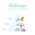 Stellarya_Piramide-olfattiva-scaled-1.jpg