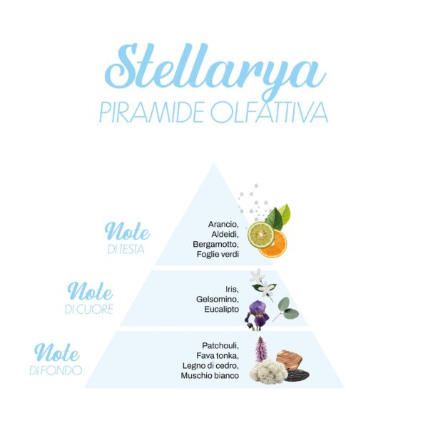 Stellarya_Piramide-olfattiva-scaled-1.jpg Stellarya_Piramide-olfattiva-scaled-1.jpg