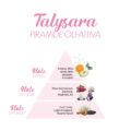 Talysara_Piramide-olfattiva-scaled-1.jpg