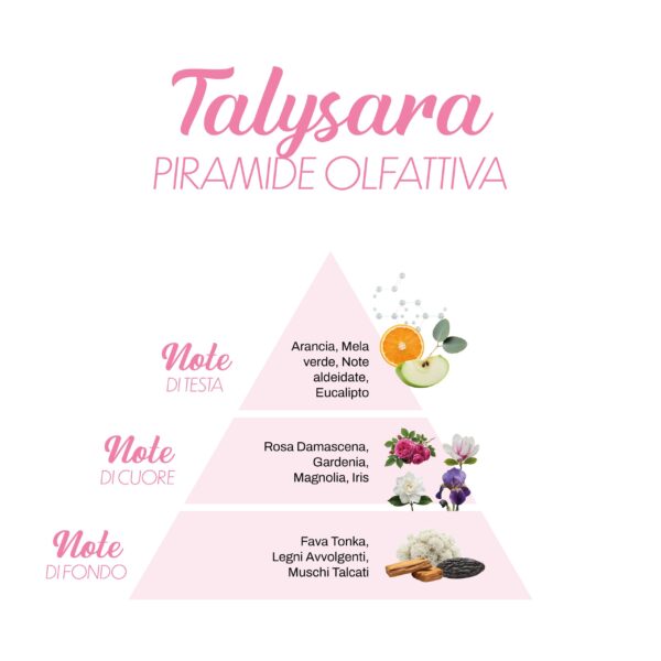 Talysara_Piramide-olfattiva-scaled-1.jpg Talysara_Piramide-olfattiva-scaled-1.jpg