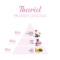 Thariel_Piramide-olfattiva-scaled-1.jpg
