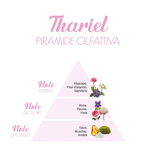 Thariel_Piramide-olfattiva-scaled-1.jpg Thariel_Piramide-olfattiva-scaled-1.jpg