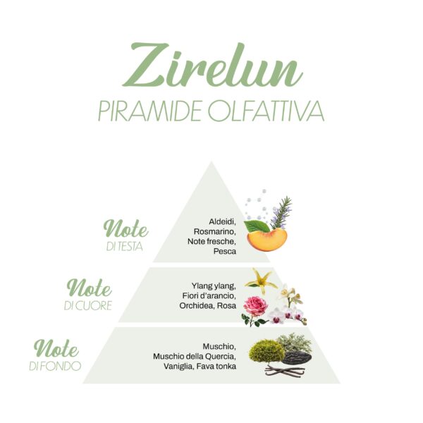 Zirelun_Piramide-olfattiva-scaled-1.jpg Zirelun_Piramide-olfattiva-scaled-1.jpg